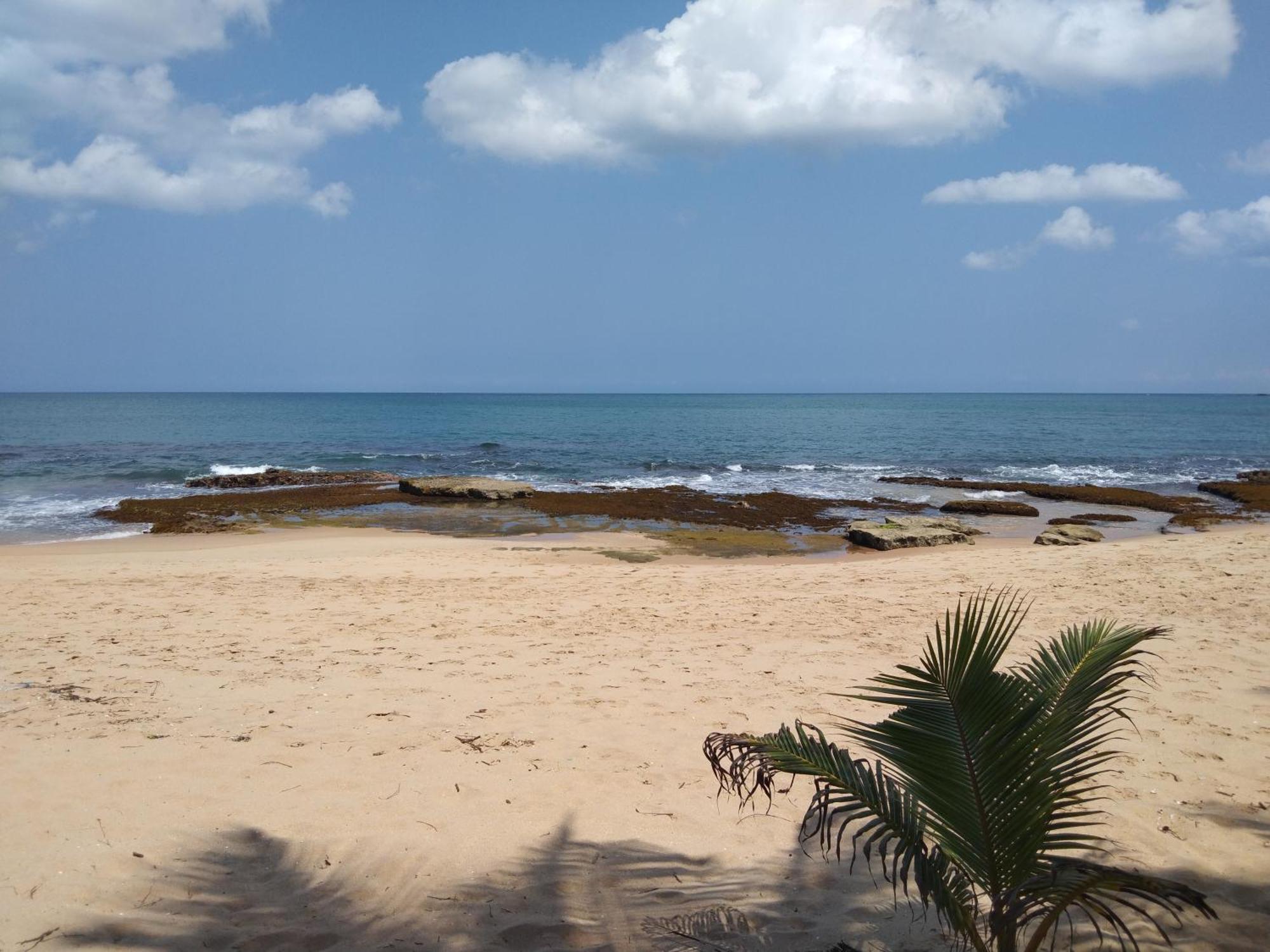 Patini Bungalows - Beach Garden Tangalle Exteriör bild
