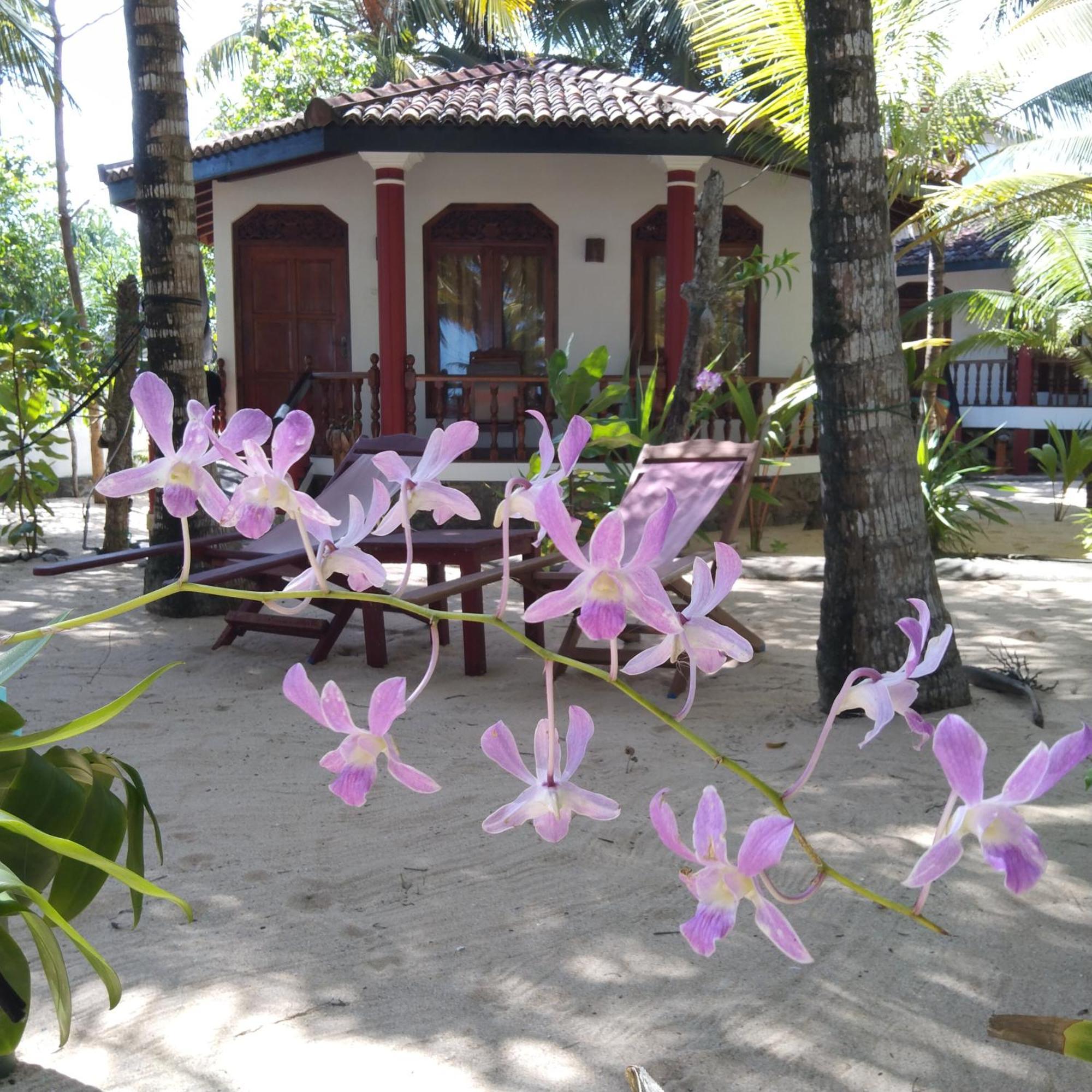 Patini Bungalows - Beach Garden Tangalle Exteriör bild