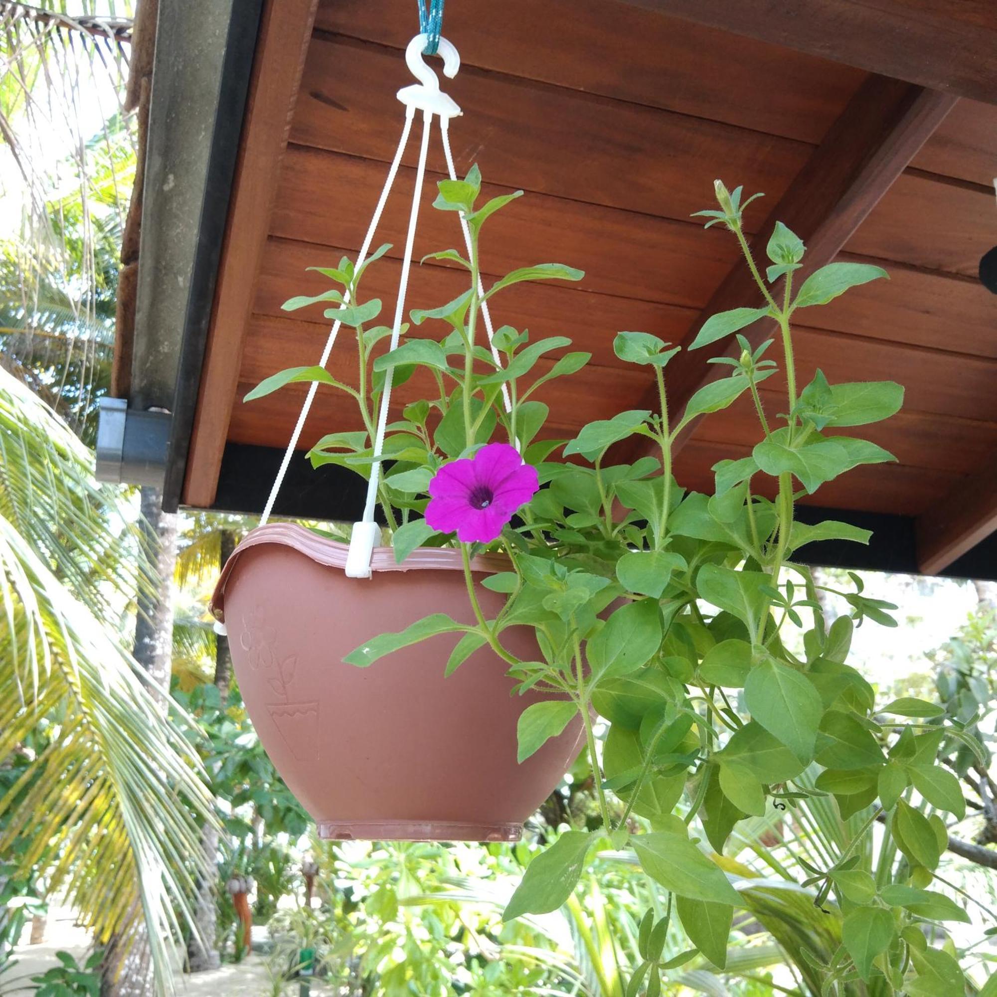 Patini Bungalows - Beach Garden Tangalle Exteriör bild