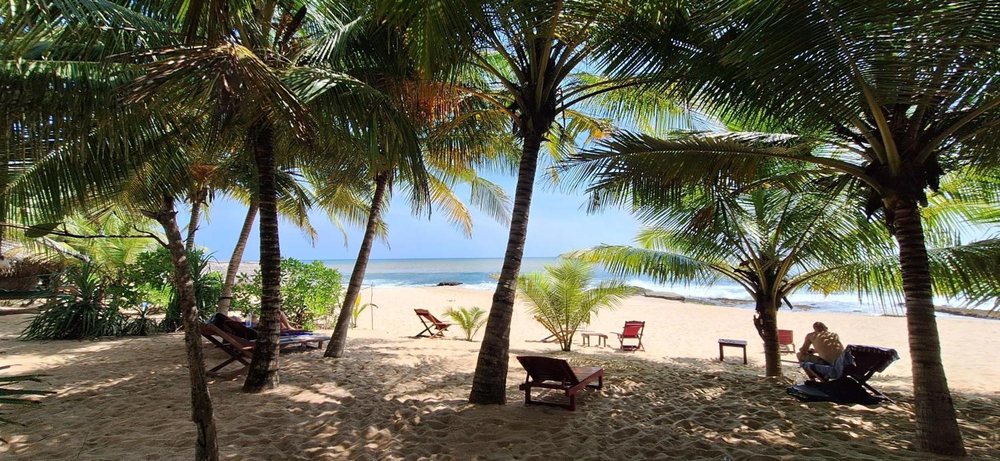 Patini Bungalows - Beach Garden Tangalle Exteriör bild