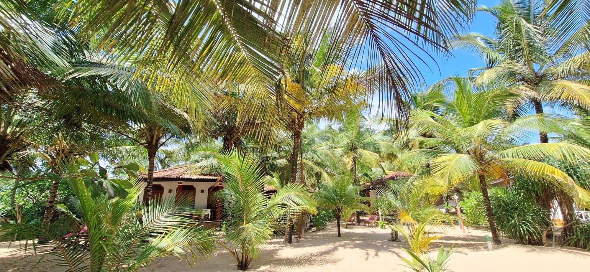 Patini Bungalows - Beach Garden Tangalle Exteriör bild