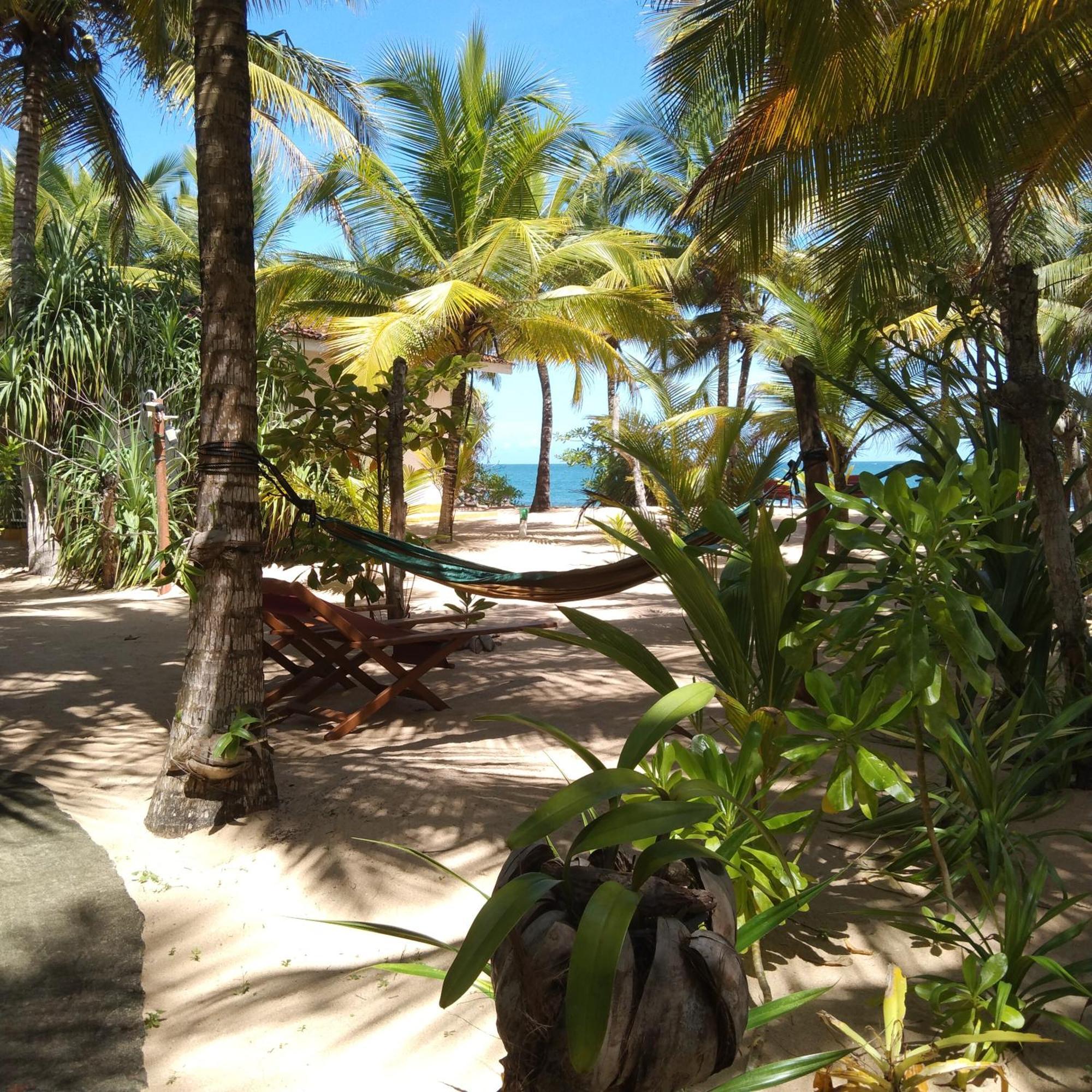 Patini Bungalows - Beach Garden Tangalle Exteriör bild