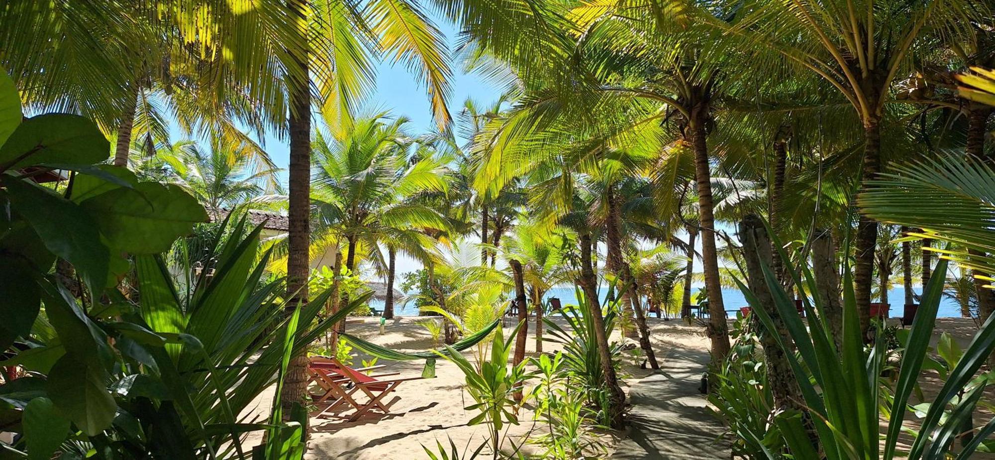Patini Bungalows - Beach Garden Tangalle Exteriör bild