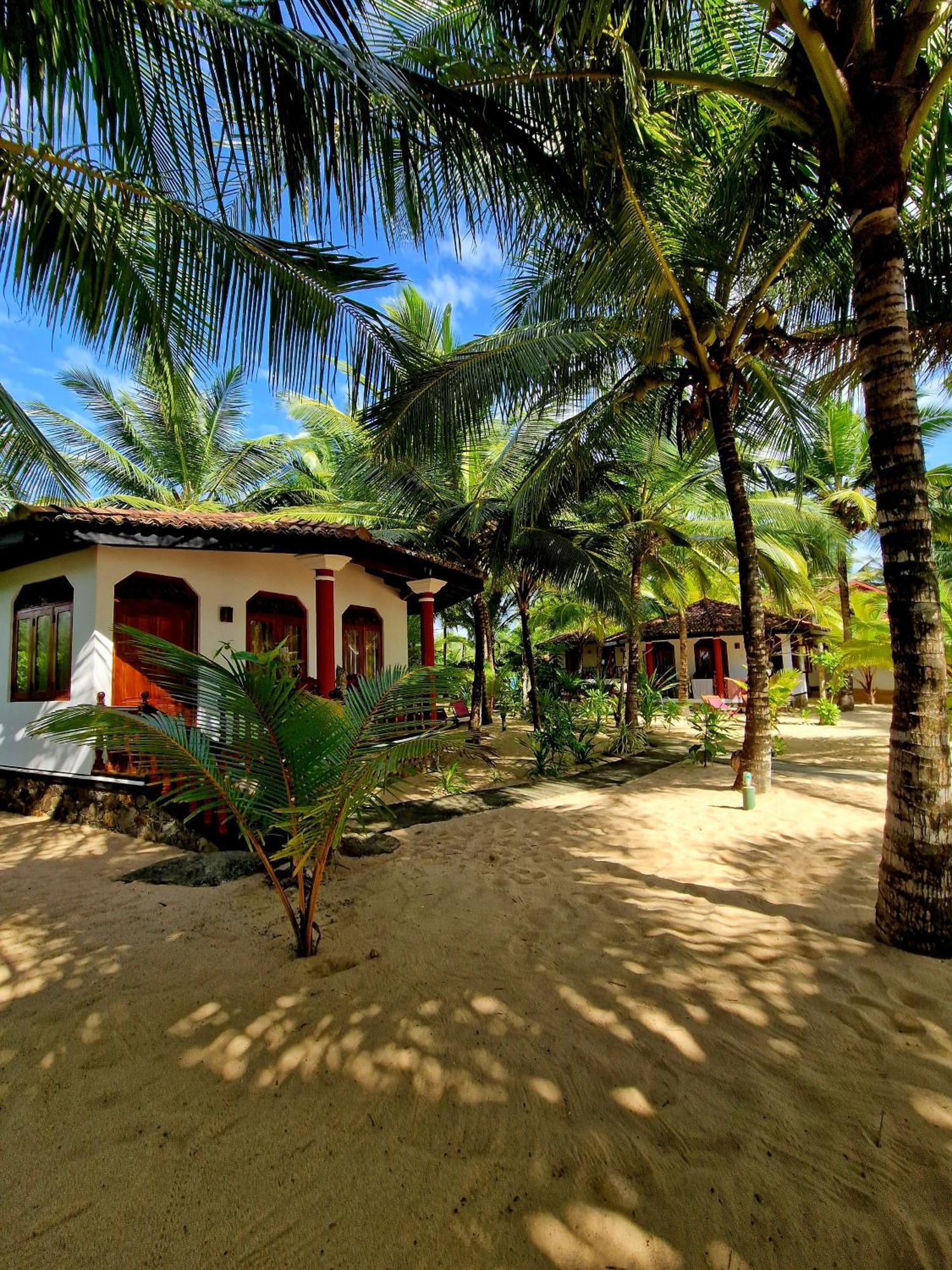 Patini Bungalows - Beach Garden Tangalle Exteriör bild
